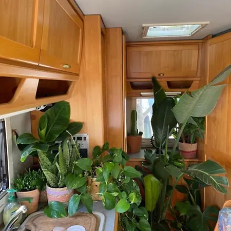 Tibetan Buddhist Jungle Camper Lägenhet *