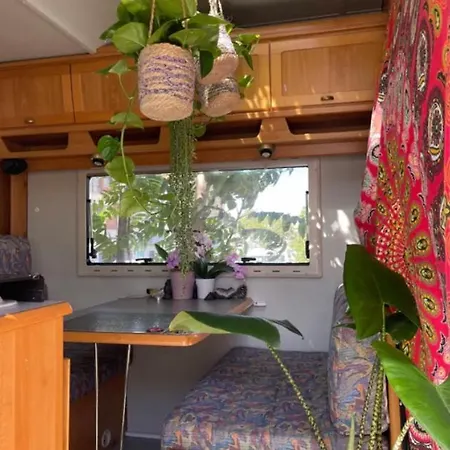 Tibetan Buddhist Jungle Camper